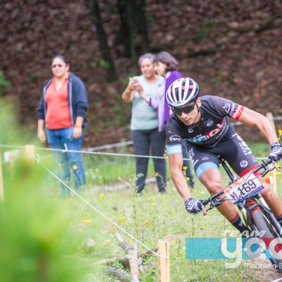 lijacim 2019 bosque.la primavera18